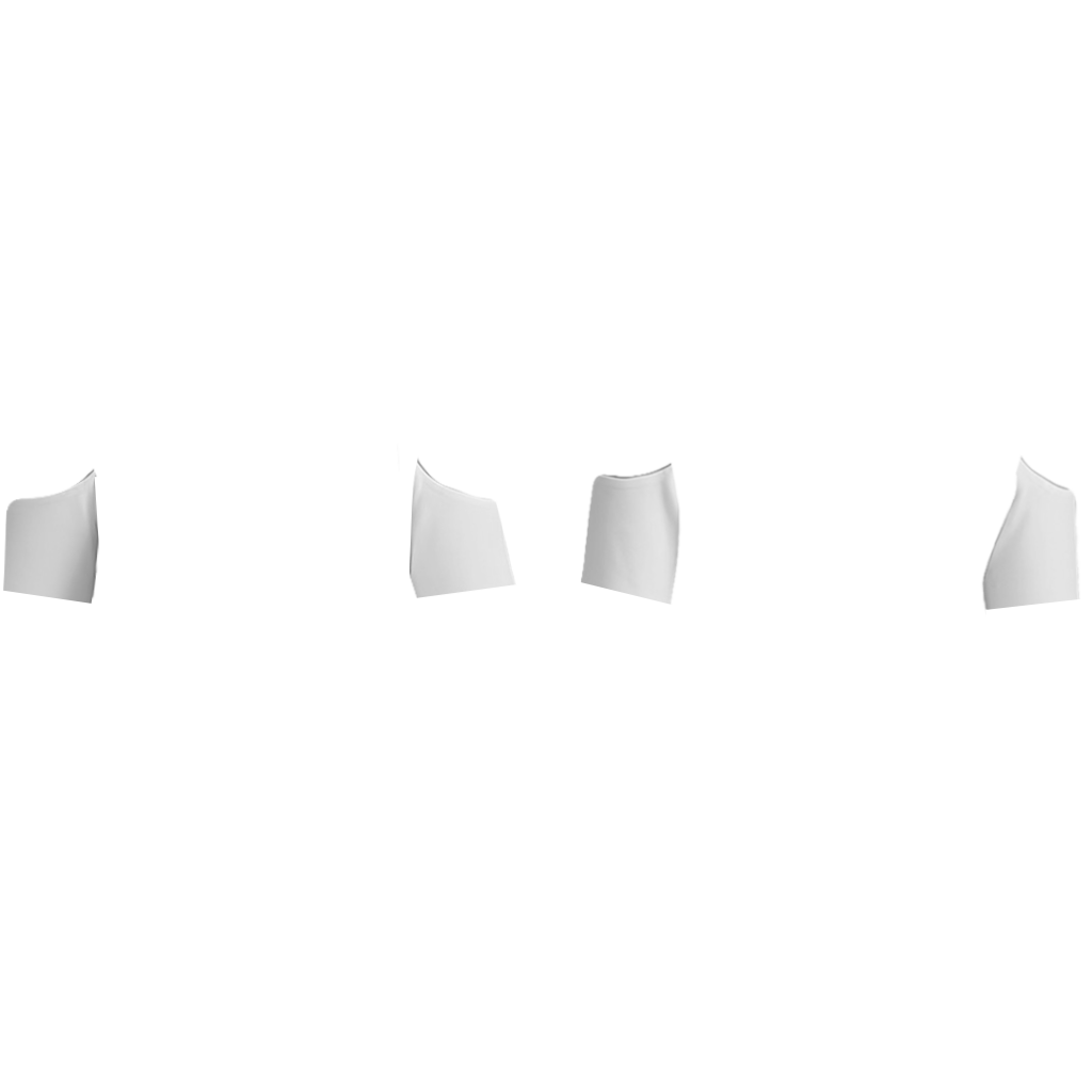 Shoulder Cut Half.png Sleeve
